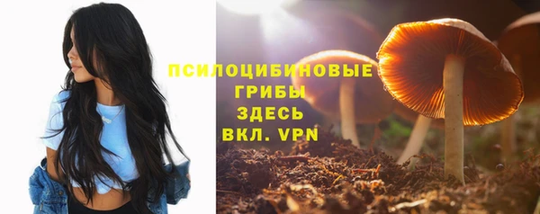 ALPHA-PVP Алексеевка