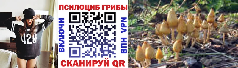 Псилоцибиновые грибы Psilocybine cubensis  как найти наркотики  Вилючинск 