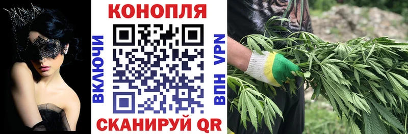 купить  сайты  Вилючинск  Канабис семена 